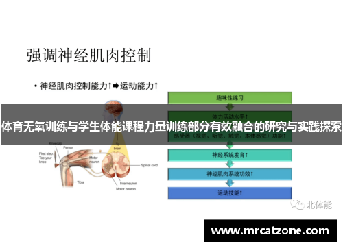 体育无氧训练与学生体能课程力量训练部分有效融合的研究与实践探索