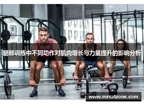腿部训练中不同动作对肌肉增长与力量提升的影响分析
